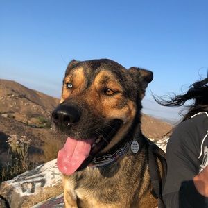 Meet your Posher, Marian